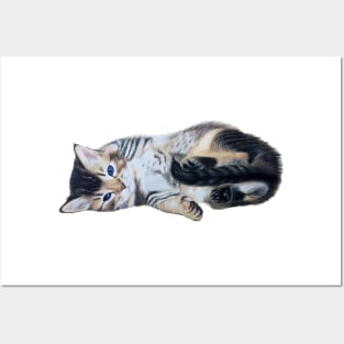 Litle Kitten Posters and Art